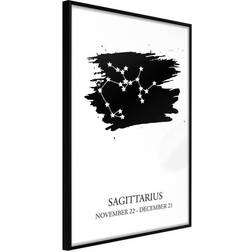 Arkiio Affisch Zodiac Signs: Sagittarius [Poster] 40x60 Poster